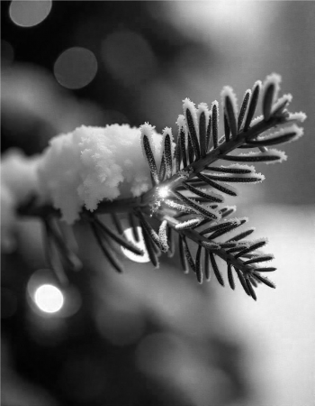 Freepik candid image photography natural textures highly r 47684
