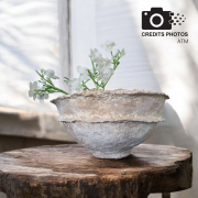 Photoroom 20241112 123910